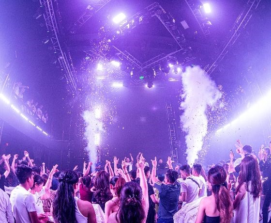 Fleur d'Or Maison Bar - Hạ Long